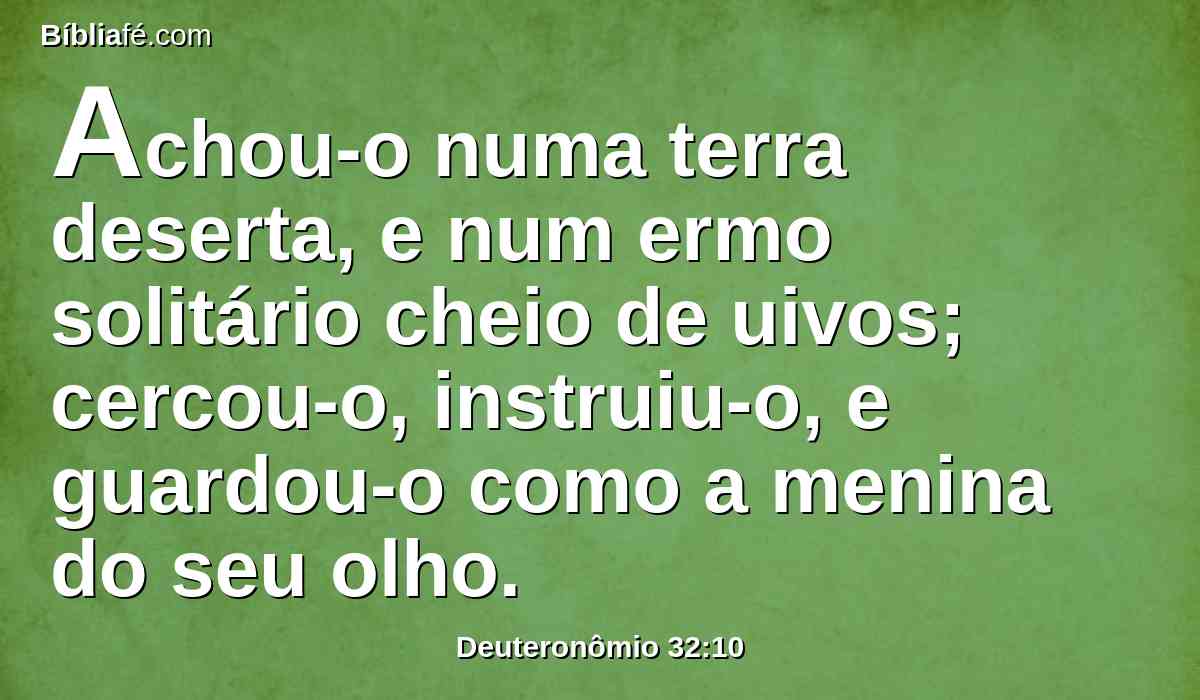 Achou-o numa terra deserta, e num ermo solitário cheio de uivos; cercou-o, instruiu-o, e guardou-o como a menina do seu olho.