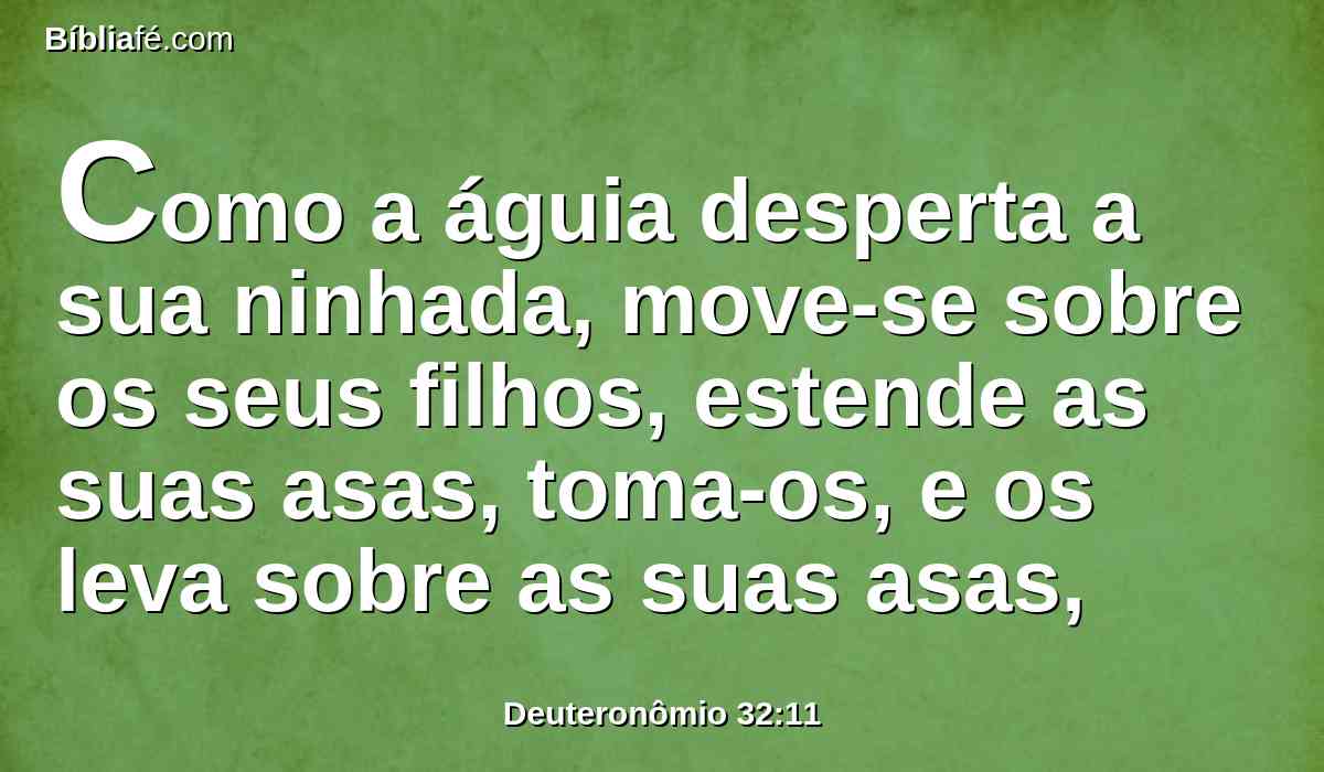 Como a águia desperta a sua ninhada, move-se sobre os seus filhos, estende as suas asas, toma-os, e os leva sobre as suas asas,