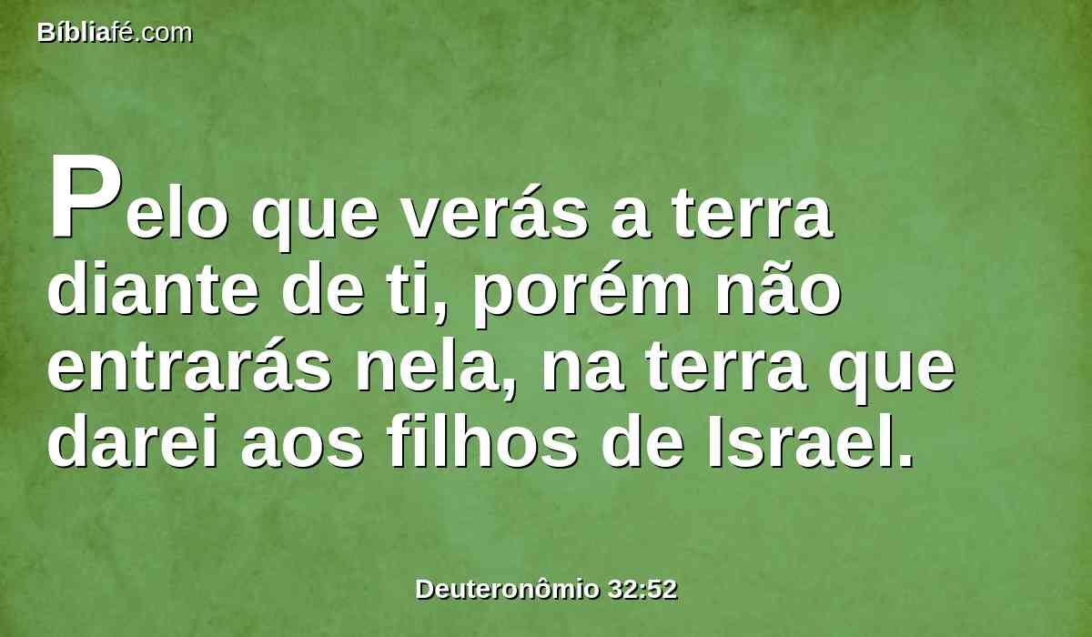 Pelo que verás a terra diante de ti, porém não entrarás nela, na terra que darei aos filhos de Israel.