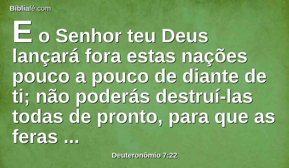 E o Senhor teu Deus lançará fora estas nações pouco a pouco de diante de ti; não poderás destruí-las todas de pronto, para que as feras do campo não se multipliquem contra ti.