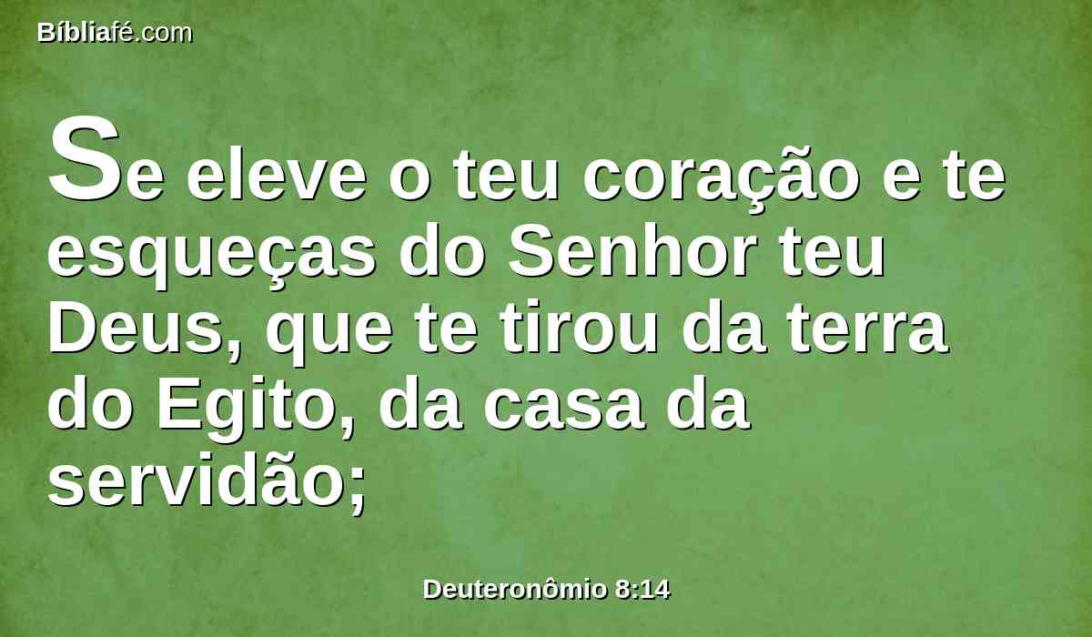 Se eleve o teu coração e te esqueças do Senhor teu Deus, que te tirou da terra do Egito, da casa da servidão;
