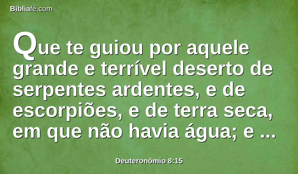 Que te guiou por aquele grande e terrível deserto de serpentes ardentes, e de escorpiões, e de terra seca, em que não havia água; e tirou água para ti da rocha pederneira;