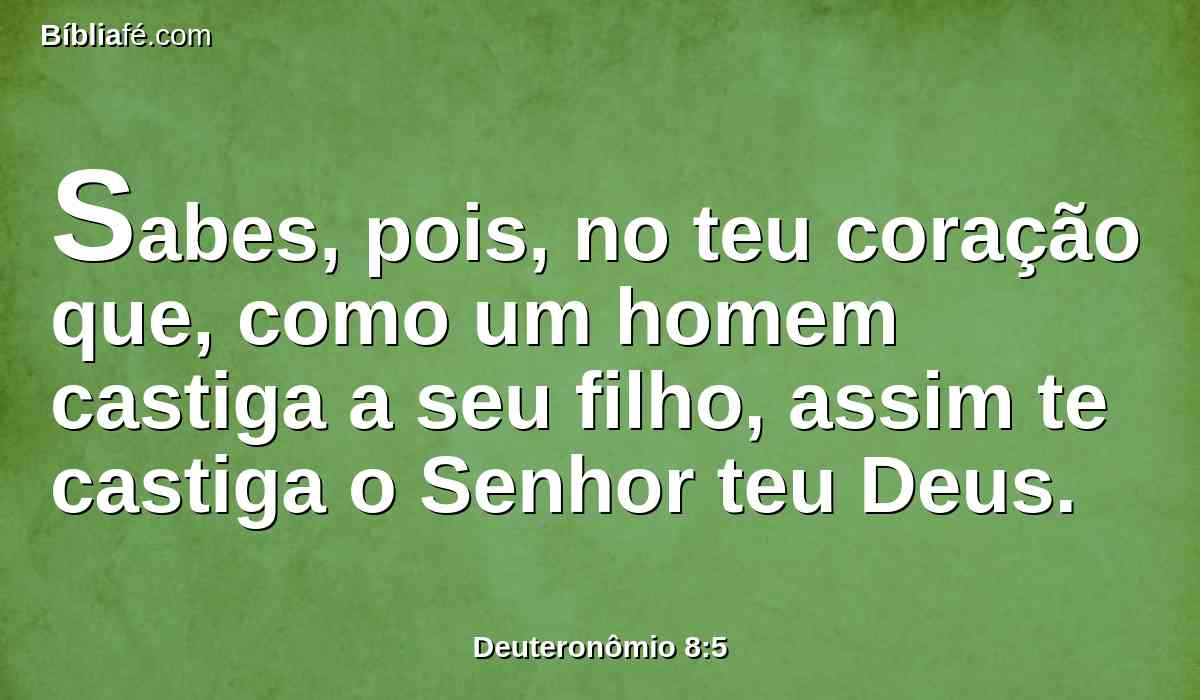 Sabes, pois, no teu coração que, como um homem castiga a seu filho, assim te castiga o Senhor teu Deus.