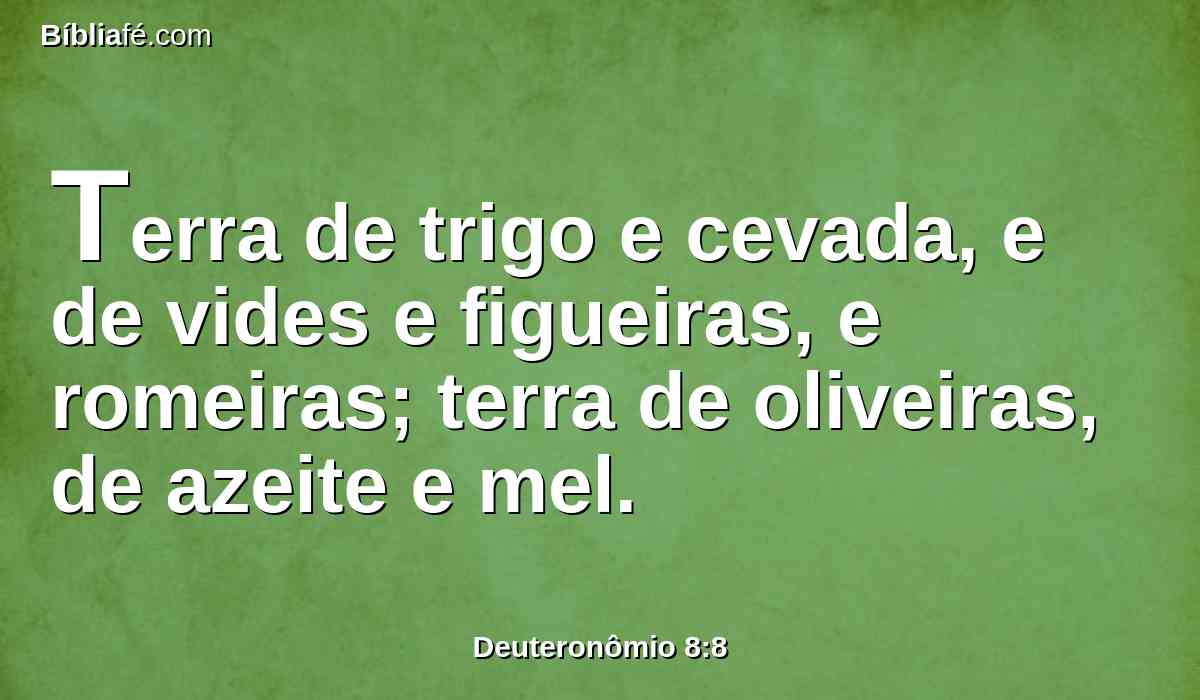 Terra de trigo e cevada, e de vides e figueiras, e romeiras; terra de oliveiras, de azeite e mel.