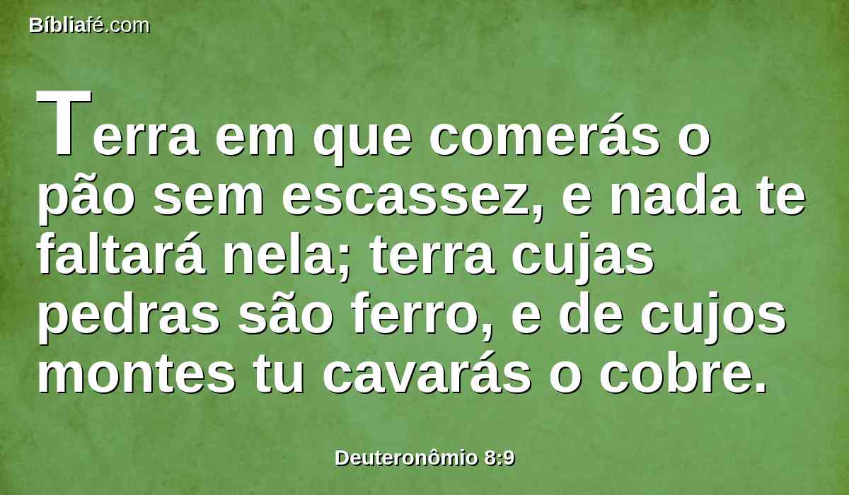 Terra em que comerás o pão sem escassez, e nada te faltará nela; terra cujas pedras são ferro, e de cujos montes tu cavarás o cobre.
