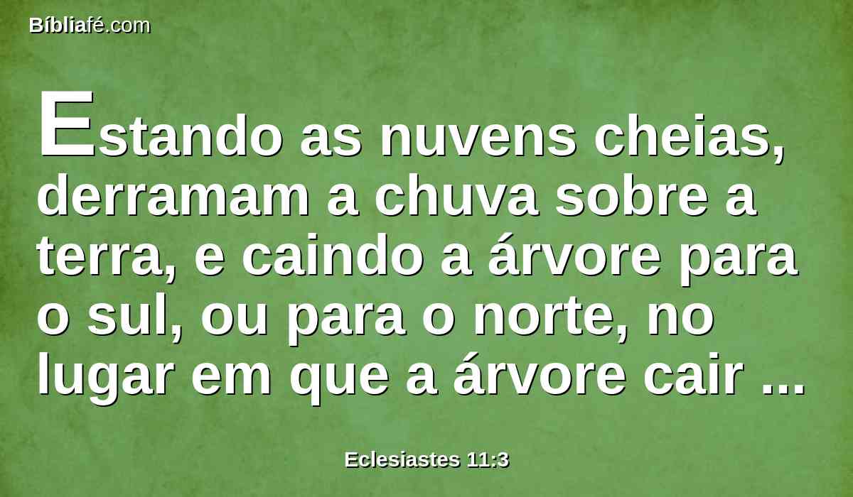 Estando as nuvens cheias, derramam a chuva sobre a terra, e caindo a árvore para o sul, ou para o norte, no lugar em que a árvore cair ali ficará.