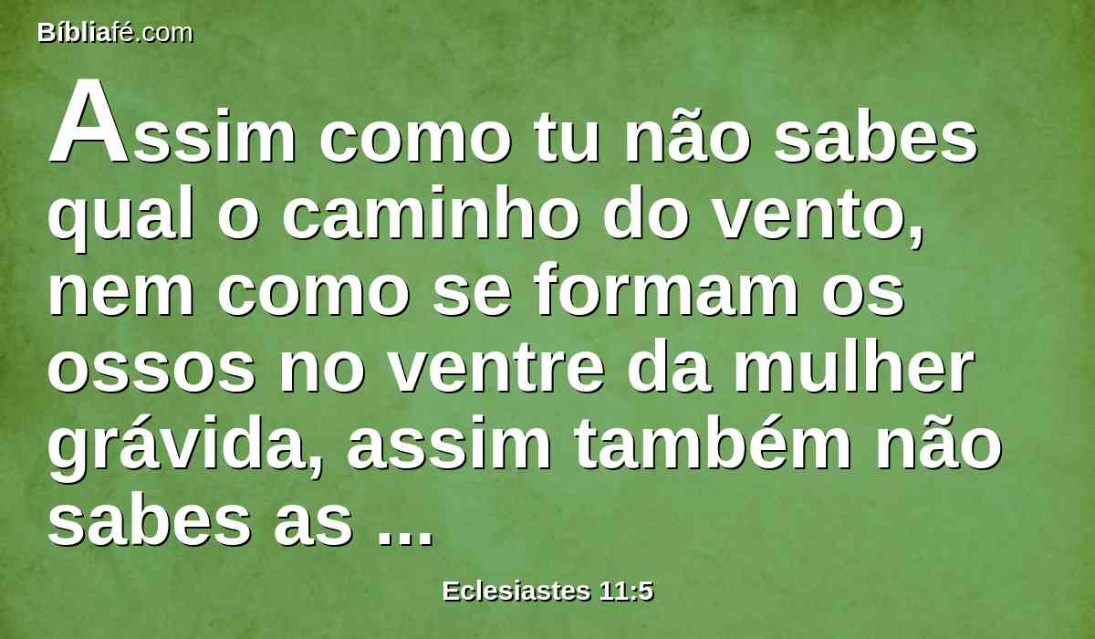 Assim como tu não sabes qual o caminho do vento, nem como se formam os ossos no ventre da mulher grávida, assim também não sabes as obras de Deus, que faz todas as coisas.