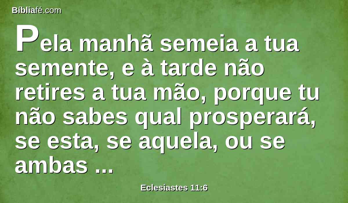 Pela manhã semeia a tua semente, e à tarde não retires a tua mão, porque tu não sabes qual prosperará, se esta, se aquela, ou se ambas serão igualmente boas.