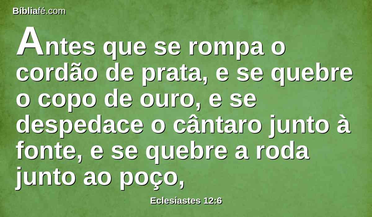 Antes que se rompa o cordão de prata, e se quebre o copo de ouro, e se despedace o cântaro junto à fonte, e se quebre a roda junto ao poço,