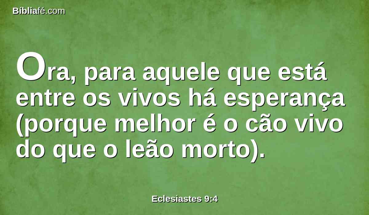 Ora, para aquele que está entre os vivos há esperança (porque melhor é o cão vivo do que o leão morto).