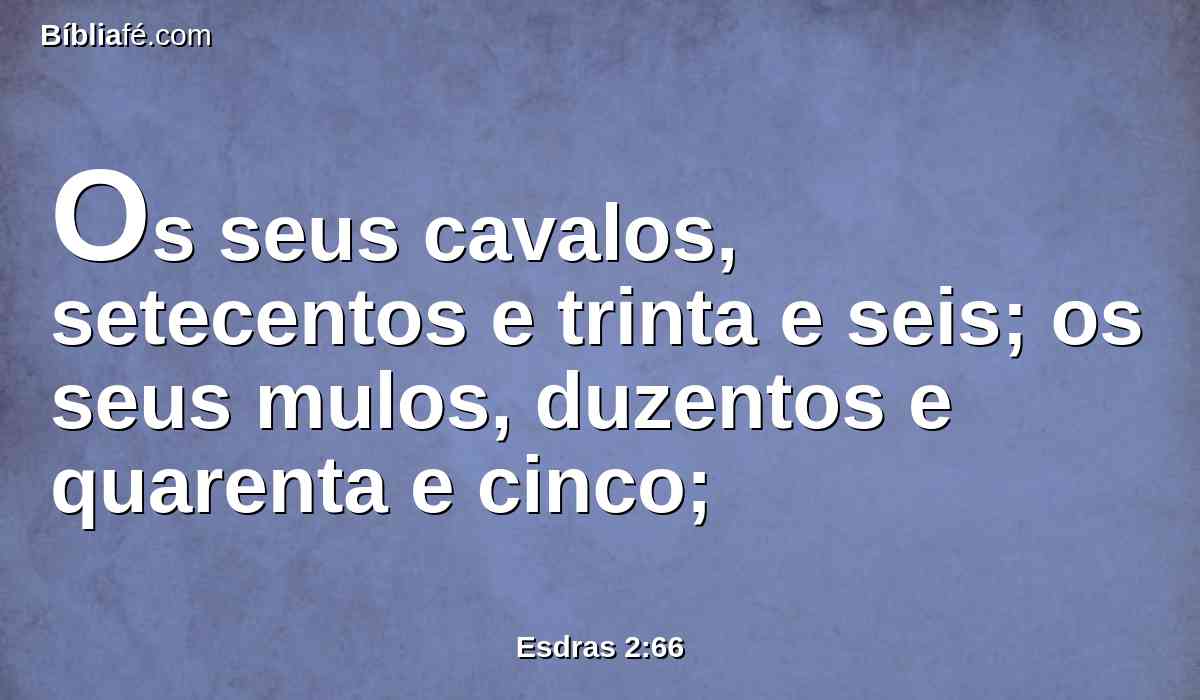 Os seus cavalos, setecentos e trinta e seis; os seus mulos, duzentos e quarenta e cinco;