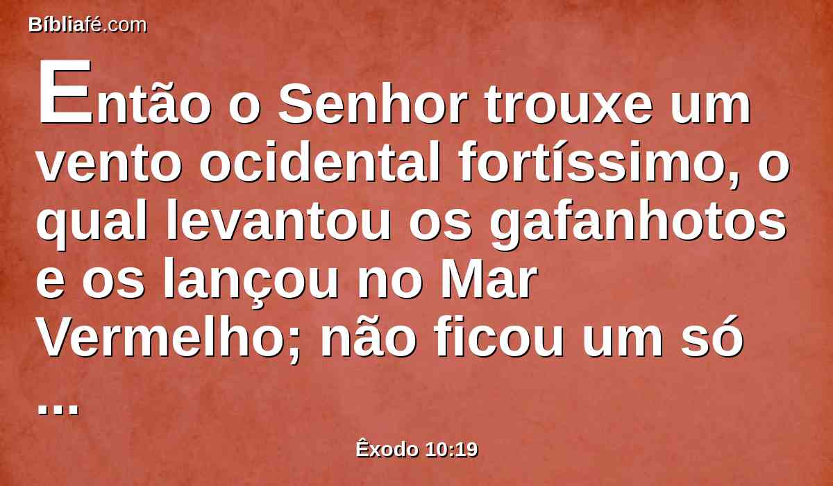 Então o Senhor trouxe um vento ocidental fortíssimo, o qual levantou os gafanhotos e os lançou no Mar Vermelho; não ficou um só gafanhoto em todos os termos do Egito.