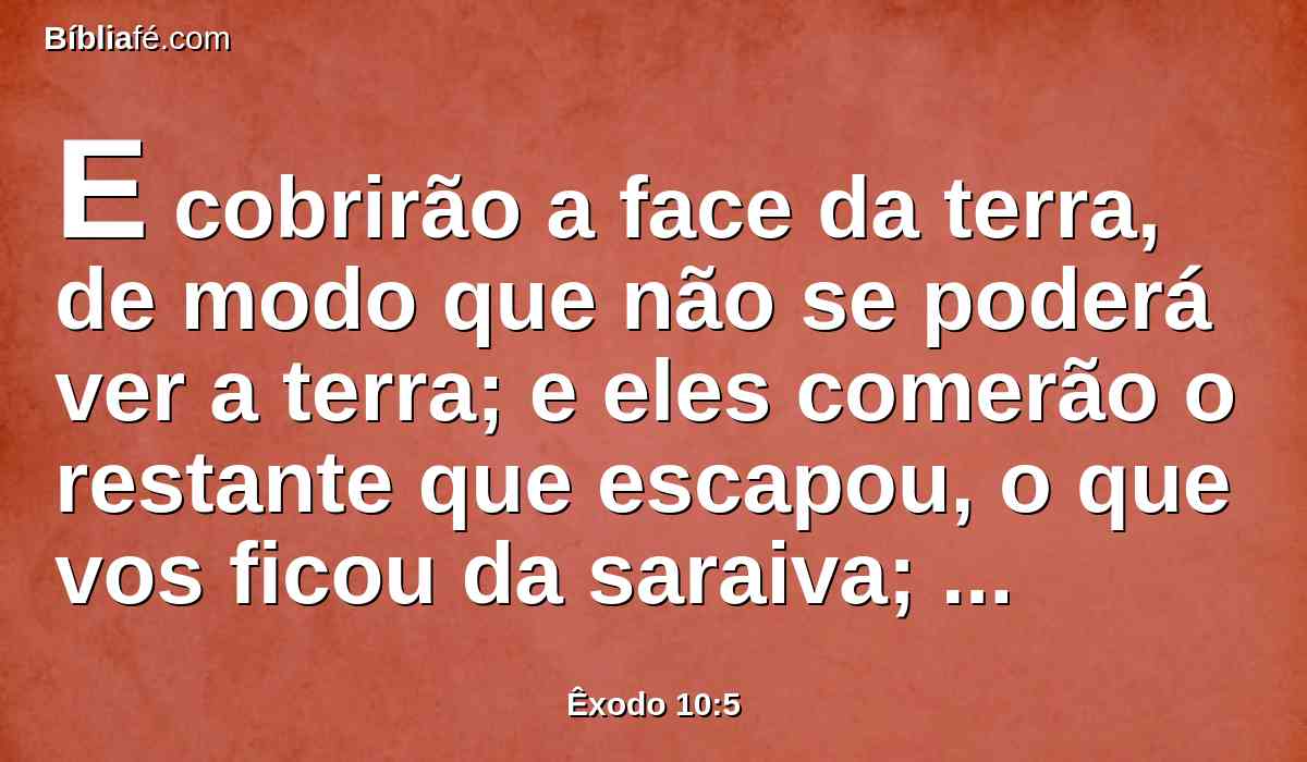 E cobrirão a face da terra, de modo que não se poderá ver a terra; e eles comerão o restante que escapou, o que vos ficou da saraiva; também comerão toda a árvore que vos cresce no campo;