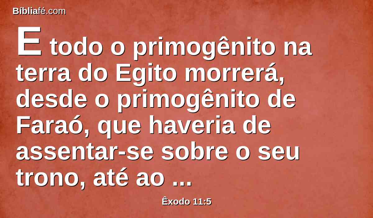 E todo o primogênito na terra do Egito morrerá, desde o primogênito de Faraó, que haveria de assentar-se sobre o seu trono, até ao primogênito da serva que está detrás da mó, e todo o primogênito dos animais.