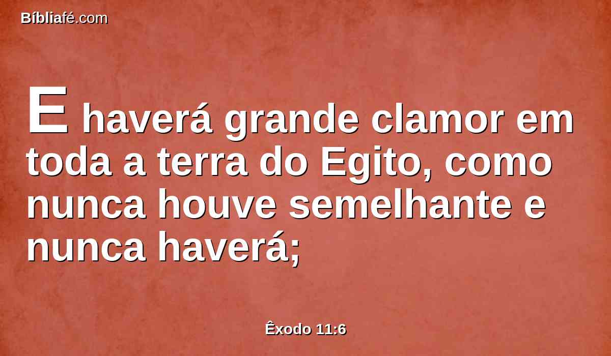 E haverá grande clamor em toda a terra do Egito, como nunca houve semelhante e nunca haverá;