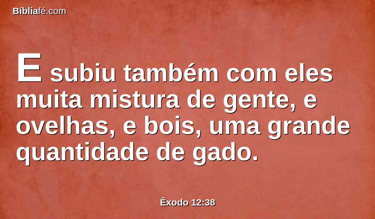 E subiu também com eles muita mistura de gente, e ovelhas, e bois, uma grande quantidade de gado.