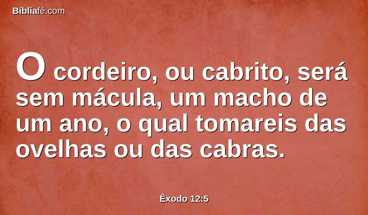 O cordeiro, ou cabrito, será sem mácula, um macho de um ano, o qual tomareis das ovelhas ou das cabras.