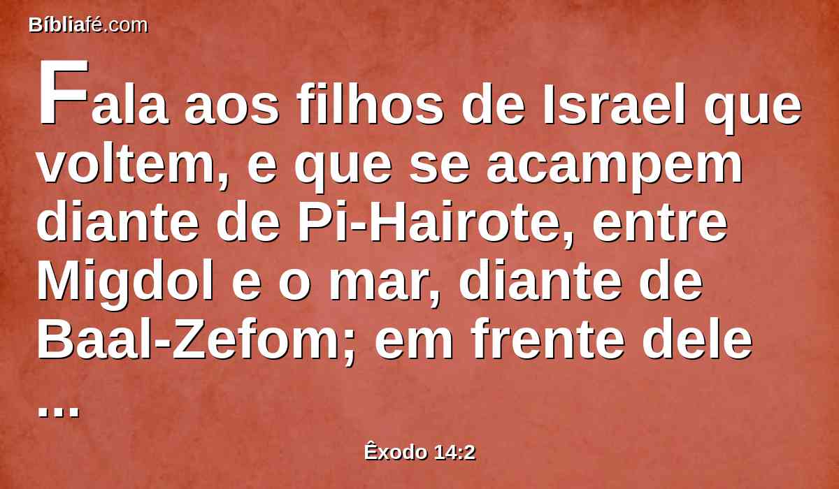 Fala aos filhos de Israel que voltem, e que se acampem diante de Pi-Hairote, entre Migdol e o mar, diante de Baal-Zefom; em frente dele assentareis o campo junto ao mar.