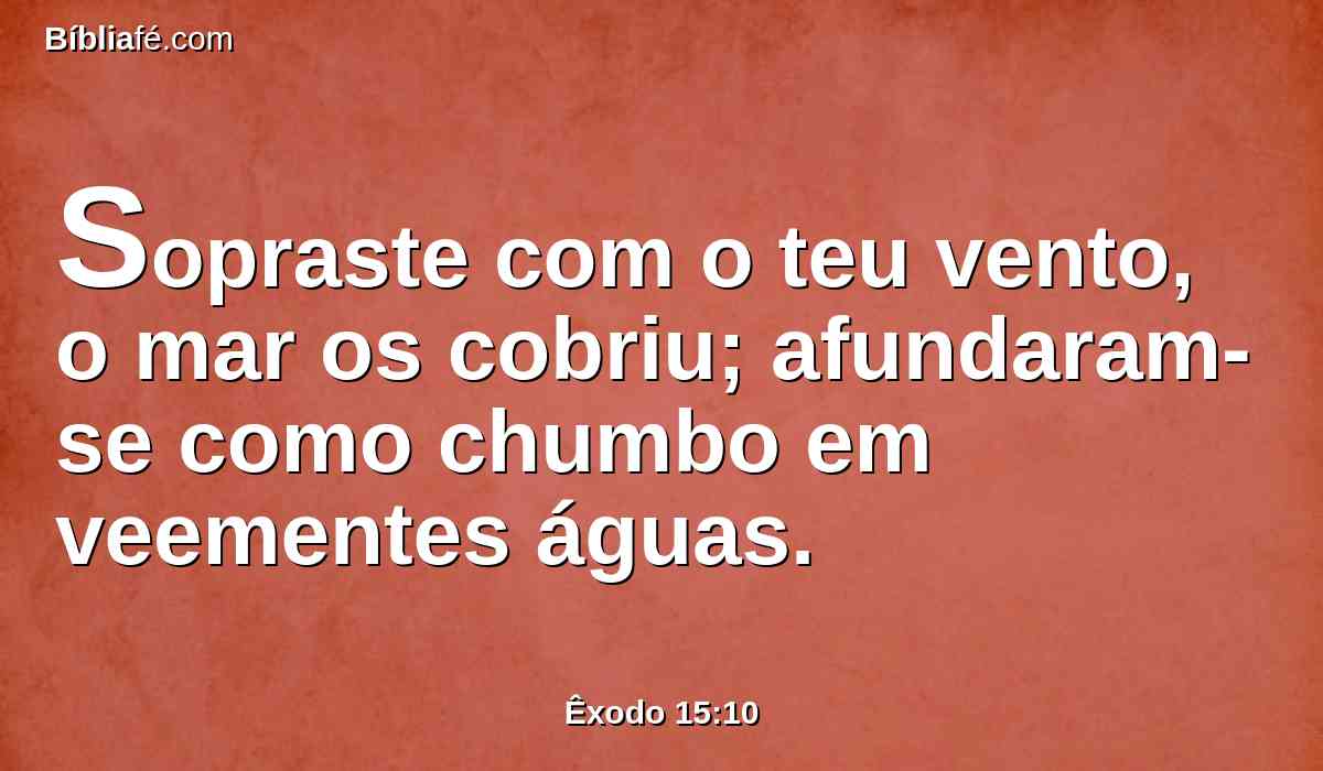 Sopraste com o teu vento, o mar os cobriu; afundaram-se como chumbo em veementes águas.