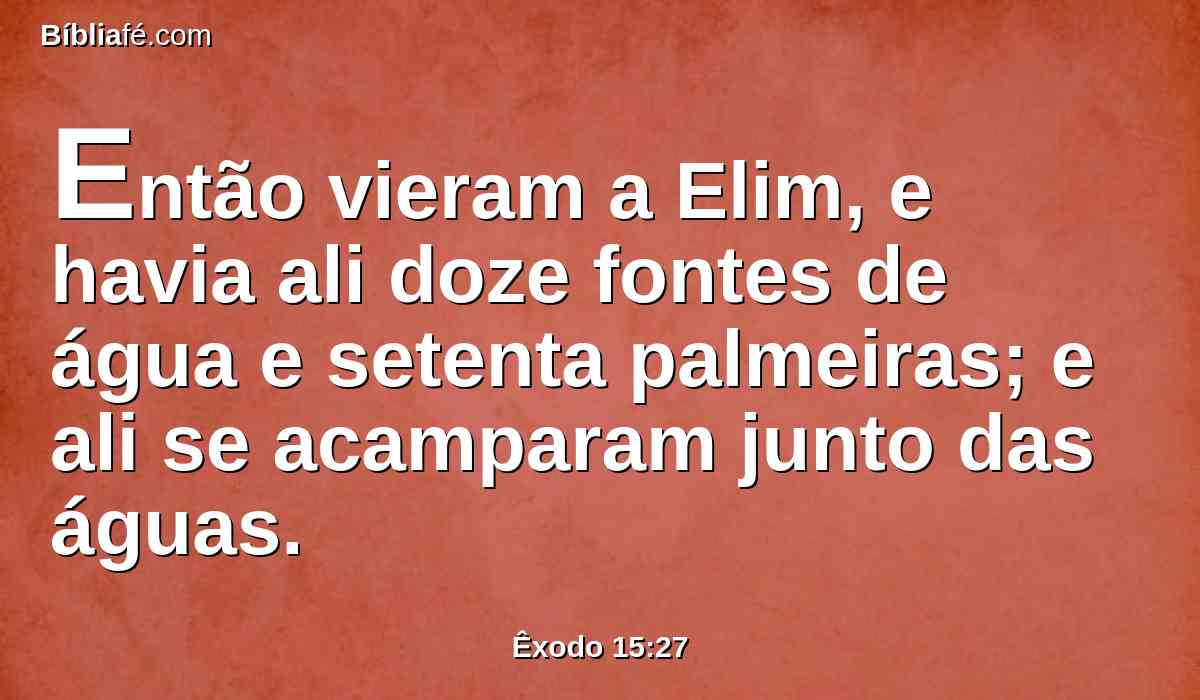 Então vieram a Elim, e havia ali doze fontes de água e setenta palmeiras; e ali se acamparam junto das águas.