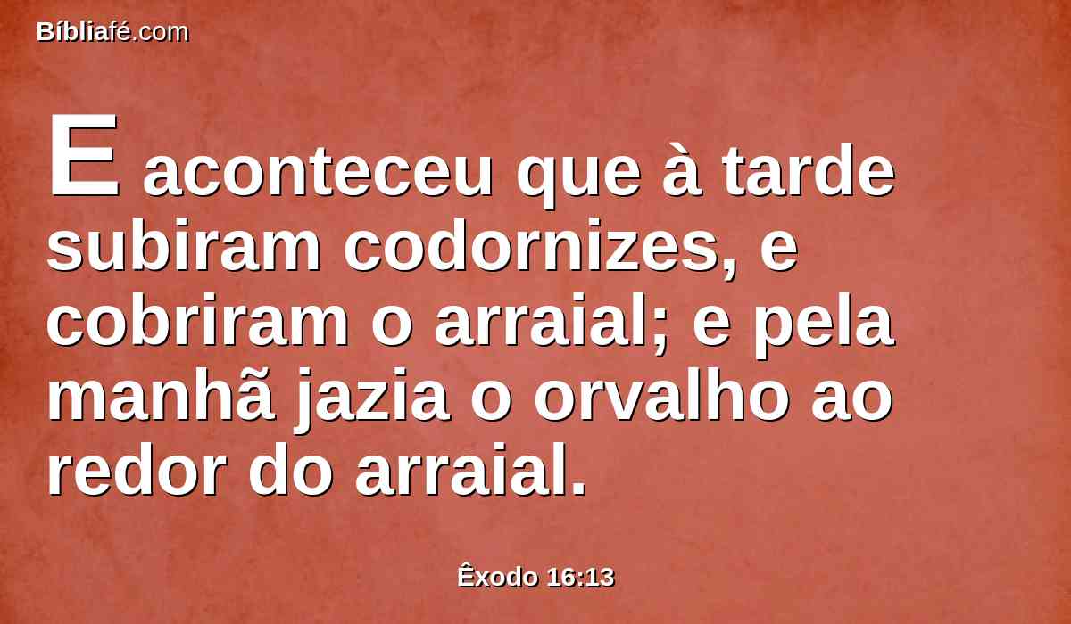 E aconteceu que à tarde subiram codornizes, e cobriram o arraial; e pela manhã jazia o orvalho ao redor do arraial.