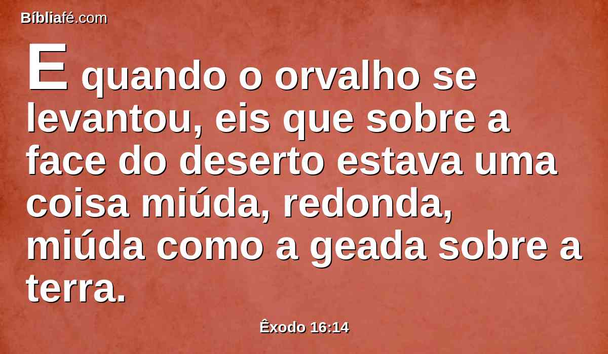 E quando o orvalho se levantou, eis que sobre a face do deserto estava uma coisa miúda, redonda, miúda como a geada sobre a terra.