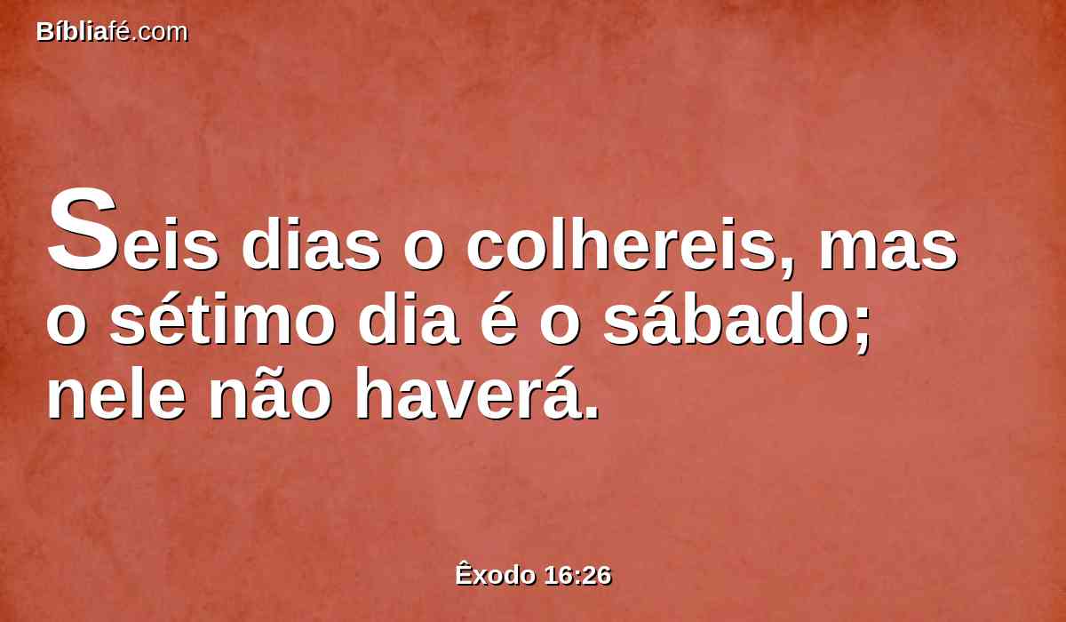 Seis dias o colhereis, mas o sétimo dia é o sábado; nele não haverá.