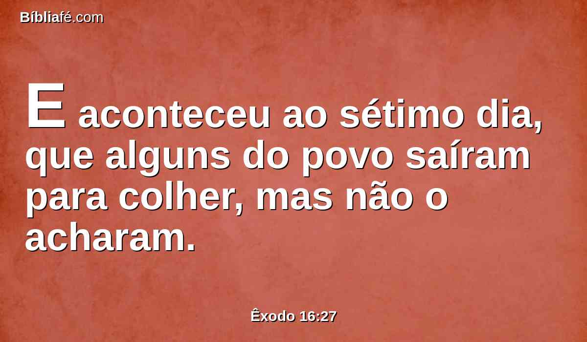 E aconteceu ao sétimo dia, que alguns do povo saíram para colher, mas não o acharam.