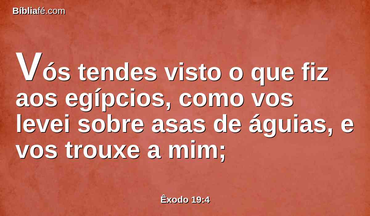 Vós tendes visto o que fiz aos egípcios, como vos levei sobre asas de águias, e vos trouxe a mim;