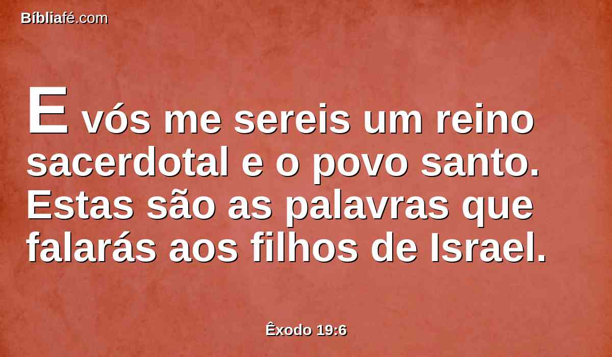 E vós me sereis um reino sacerdotal e o povo santo. Estas são as palavras que falarás aos filhos de Israel.