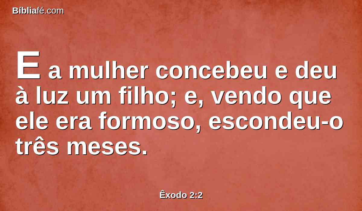 E a mulher concebeu e deu à luz um filho; e, vendo que ele era formoso, escondeu-o três meses.