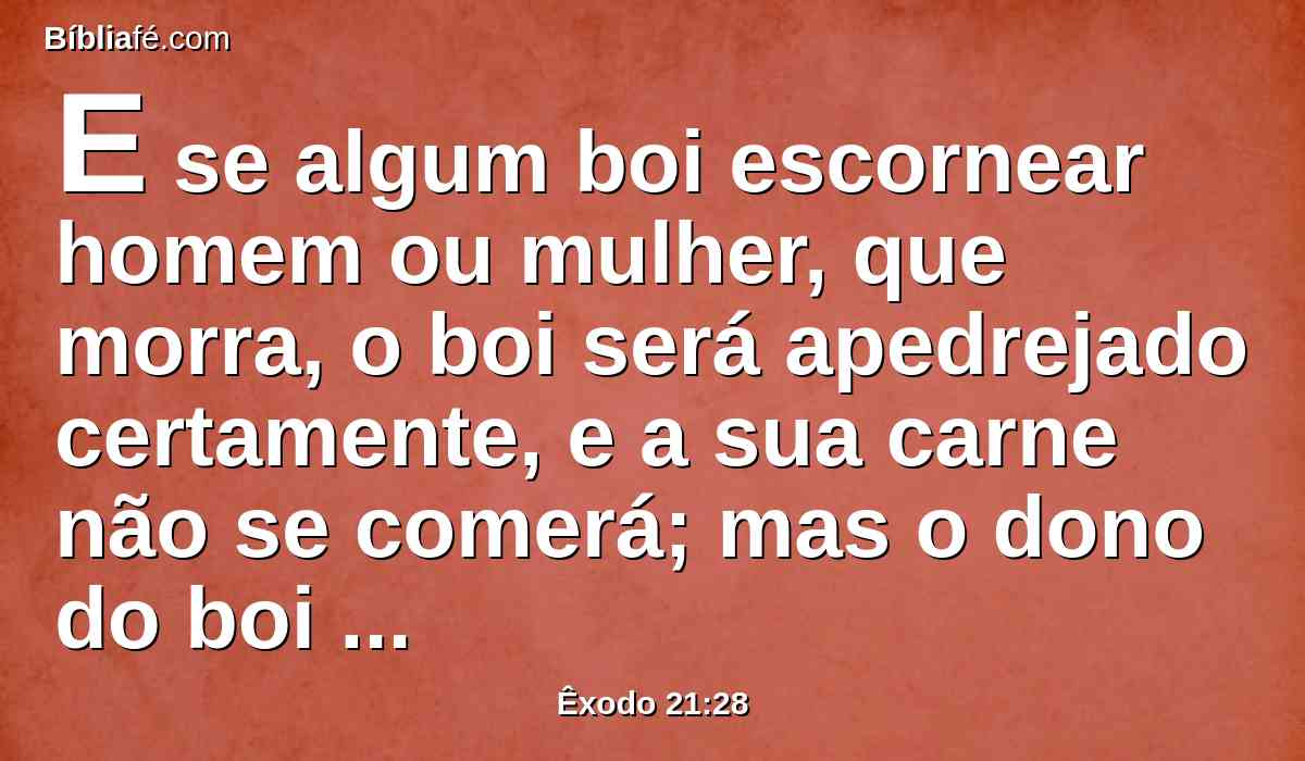 E se algum boi escornear homem ou mulher, que morra, o boi será apedrejado certamente, e a sua carne não se comerá; mas o dono do boi será absolvido.