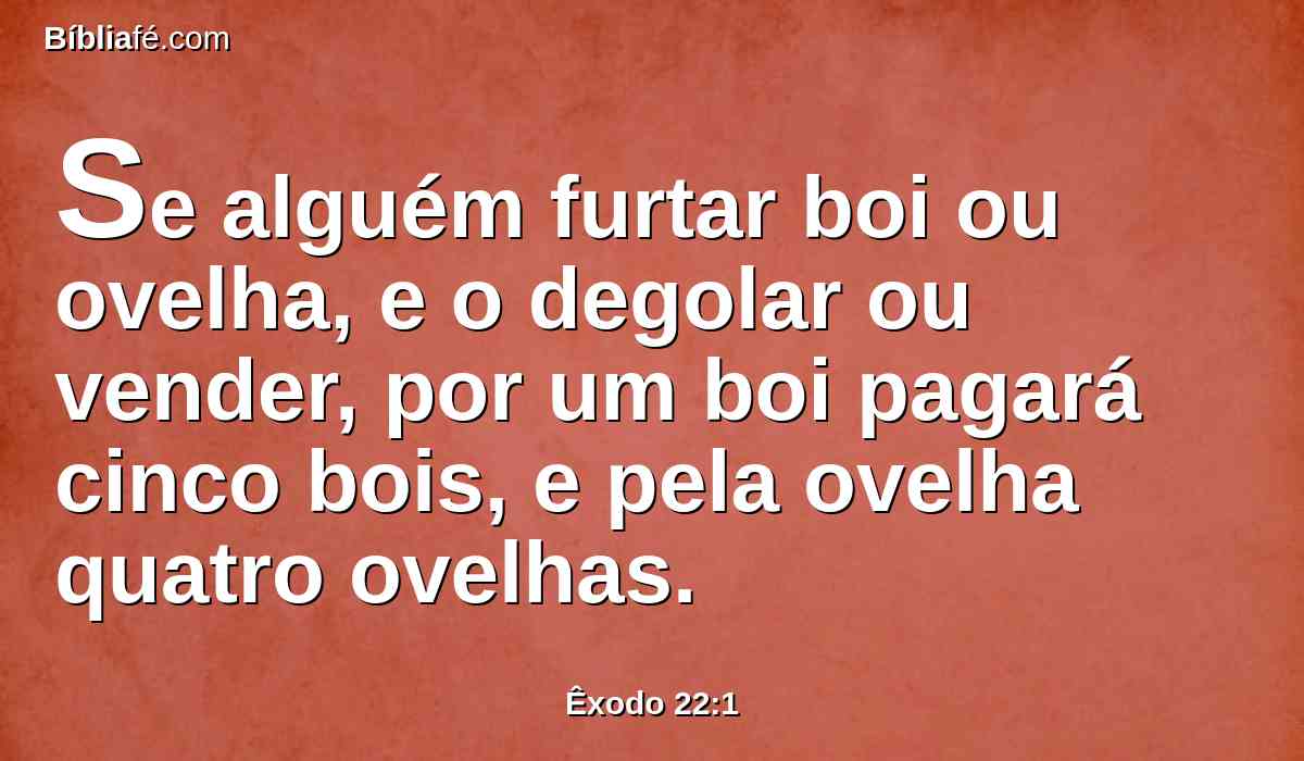 Se alguém furtar boi ou ovelha, e o degolar ou vender, por um boi pagará cinco bois, e pela ovelha quatro ovelhas.