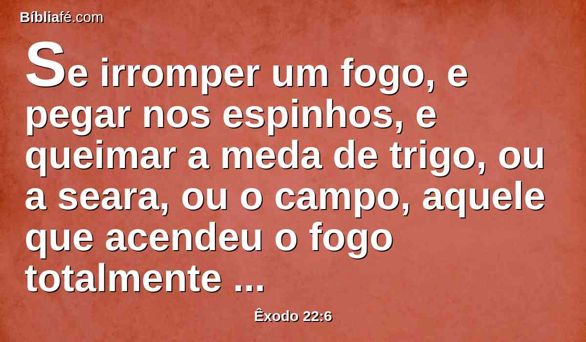 Se irromper um fogo, e pegar nos espinhos, e queimar a meda de trigo, ou a seara, ou o campo, aquele que acendeu o fogo totalmente pagará o queimado.