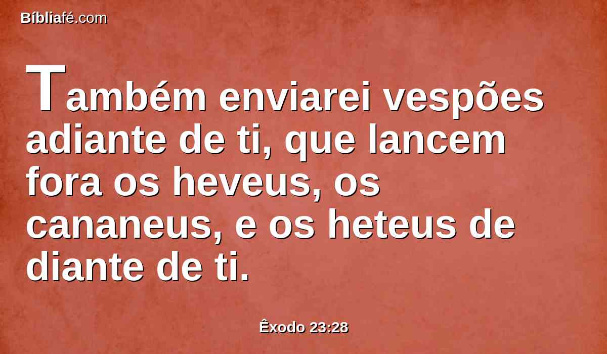 Também enviarei vespões adiante de ti, que lancem fora os heveus, os cananeus, e os heteus de diante de ti.