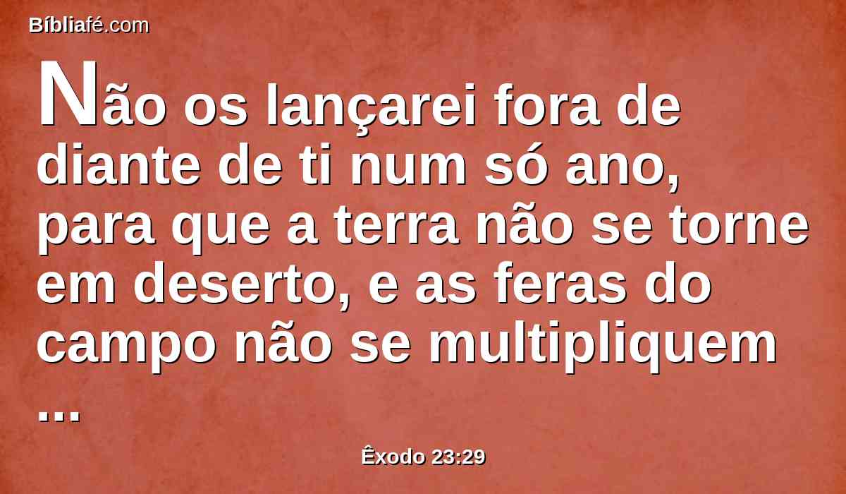 Não os lançarei fora de diante de ti num só ano, para que a terra não se torne em deserto, e as feras do campo não se multipliquem contra ti.