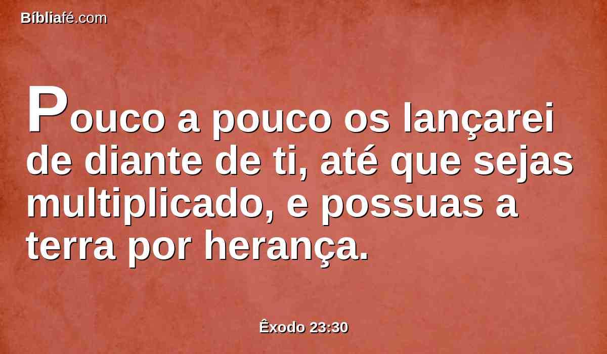 Pouco a pouco os lançarei de diante de ti, até que sejas multiplicado, e possuas a terra por herança.