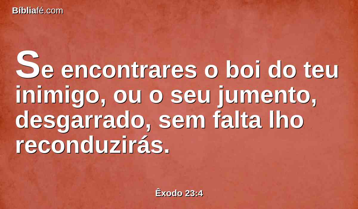 Se encontrares o boi do teu inimigo, ou o seu jumento, desgarrado, sem falta lho reconduzirás.