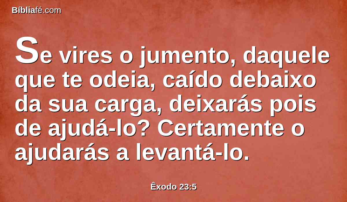 Se vires o jumento, daquele que te odeia, caído debaixo da sua carga, deixarás pois de ajudá-lo? Certamente o ajudarás a levantá-lo.