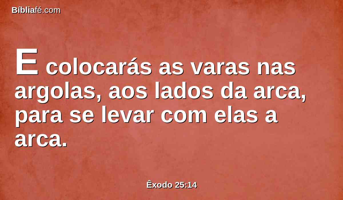 E colocarás as varas nas argolas, aos lados da arca, para se levar com elas a arca.