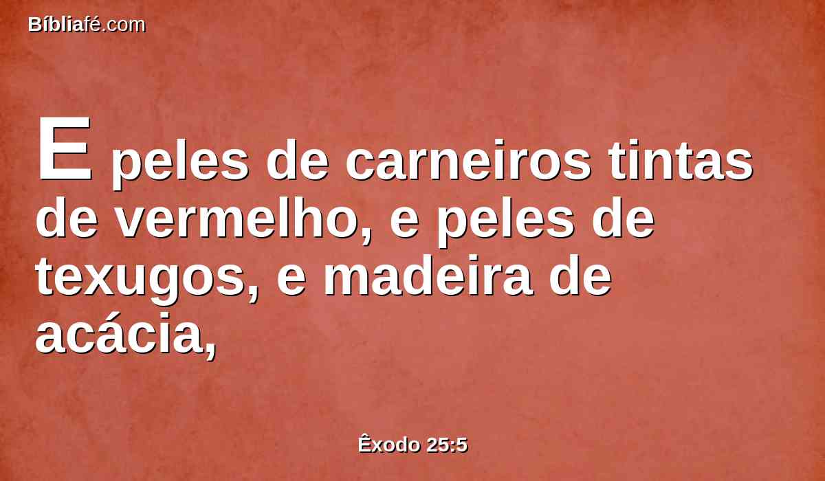 E peles de carneiros tintas de vermelho, e peles de texugos, e madeira de acácia,