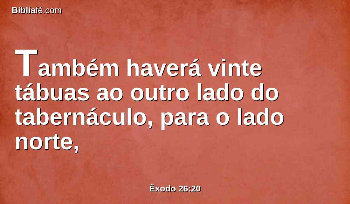 Também haverá vinte tábuas ao outro lado do tabernáculo, para o lado norte,