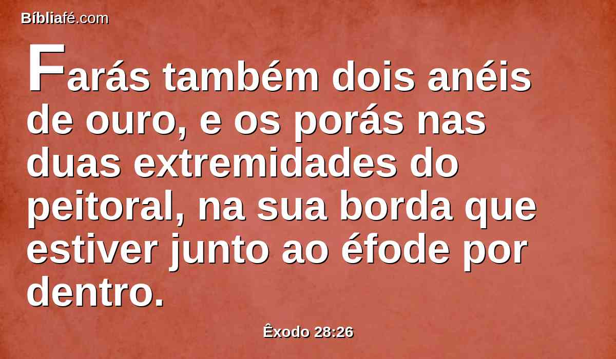 Farás também dois anéis de ouro, e os porás nas duas extremidades do peitoral, na sua borda que estiver junto ao éfode por dentro.