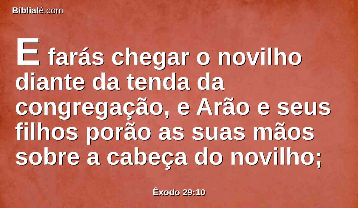 E farás chegar o novilho diante da tenda da congregação, e Arão e seus filhos porão as suas mãos sobre a cabeça do novilho;