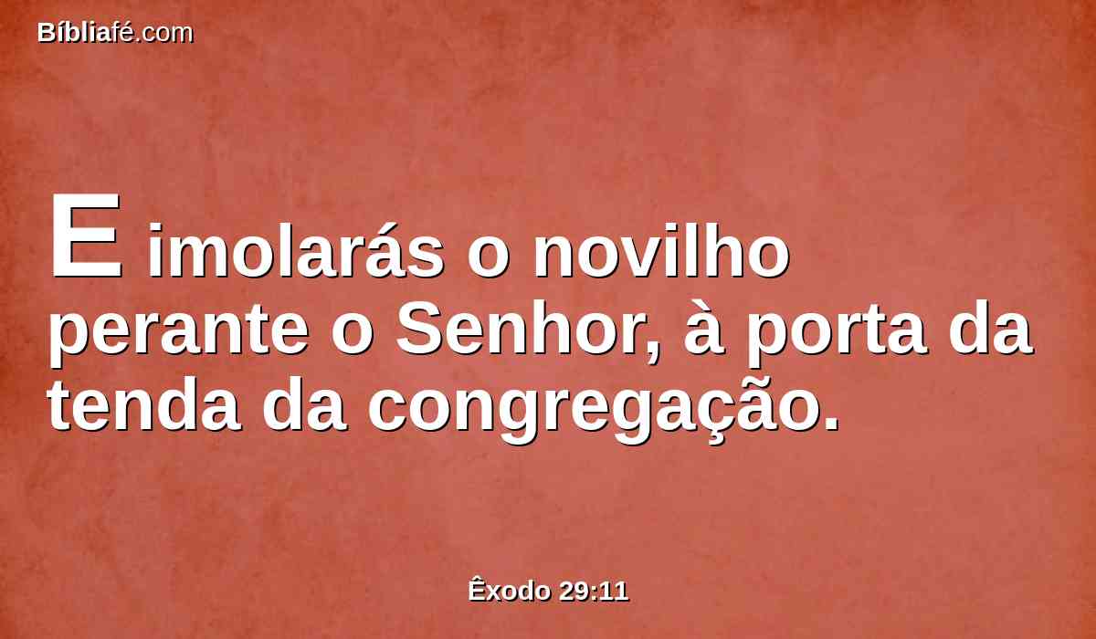 E imolarás o novilho perante o Senhor, à porta da tenda da congregação.