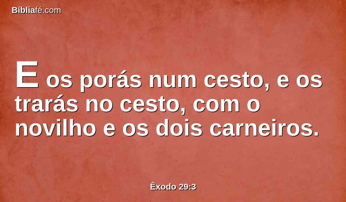 E os porás num cesto, e os trarás no cesto, com o novilho e os dois carneiros.