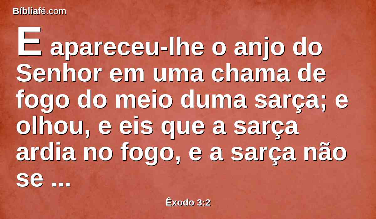 E apareceu-lhe o anjo do Senhor em uma chama de fogo do meio duma sarça; e olhou, e eis que a sarça ardia no fogo, e a sarça não se consumia.