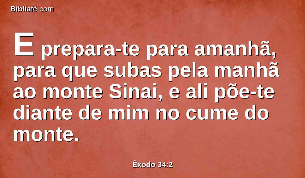 E prepara-te para amanhã, para que subas pela manhã ao monte Sinai, e ali põe-te diante de mim no cume do monte.