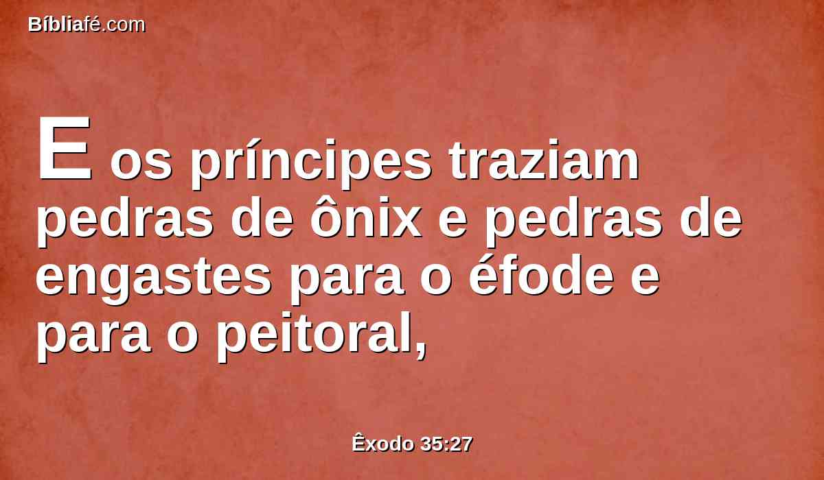 E os príncipes traziam pedras de ônix e pedras de engastes para o éfode e para o peitoral,