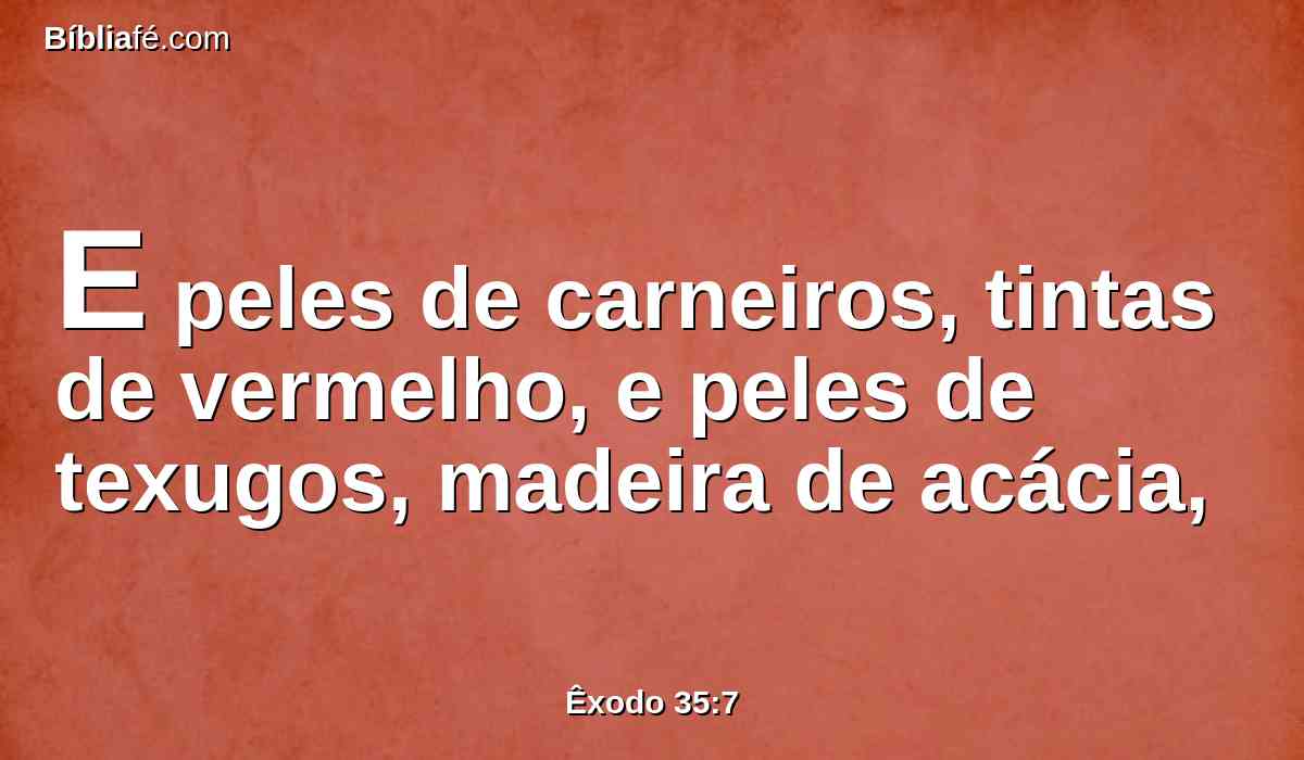 E peles de carneiros, tintas de vermelho, e peles de texugos, madeira de acácia,